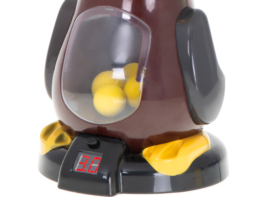 Streľba na terč - Hladná kačica