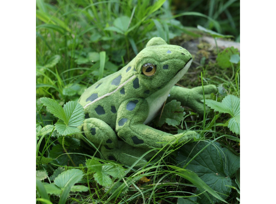 Rappa Plyšová žaba 19 cm ECO-FRIENDLY