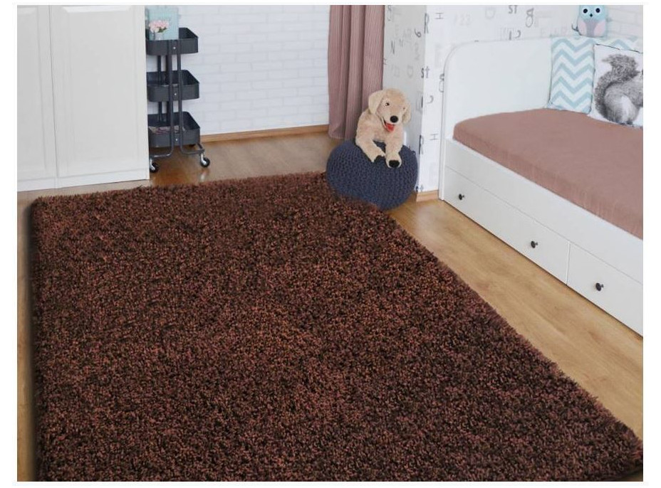 Moderný kusový koberec SHAGGY COLOR - hnedý