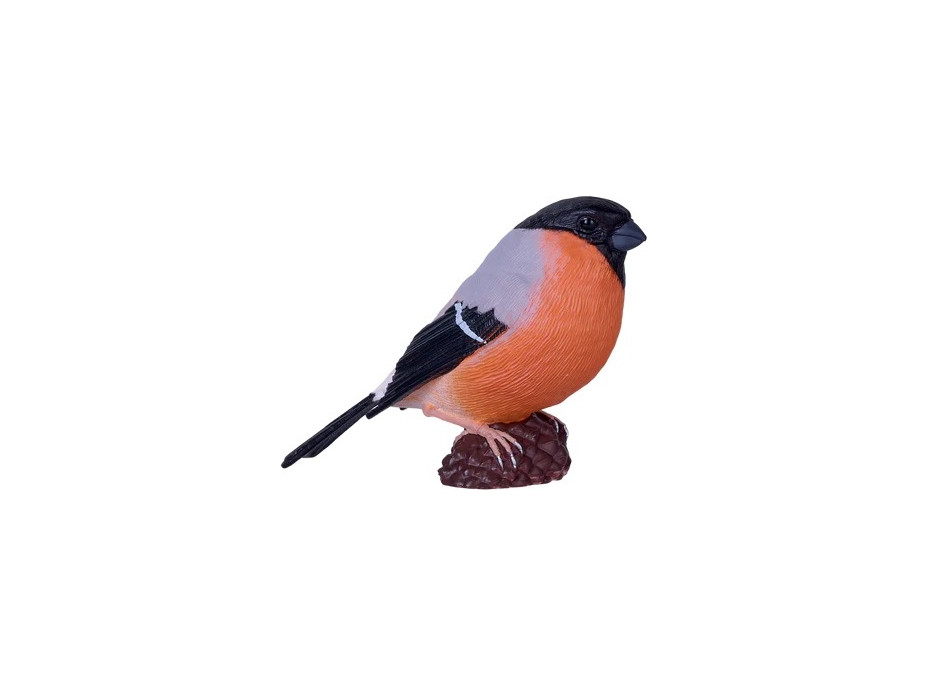 Mojo Hýľ obyčajný v krabičke