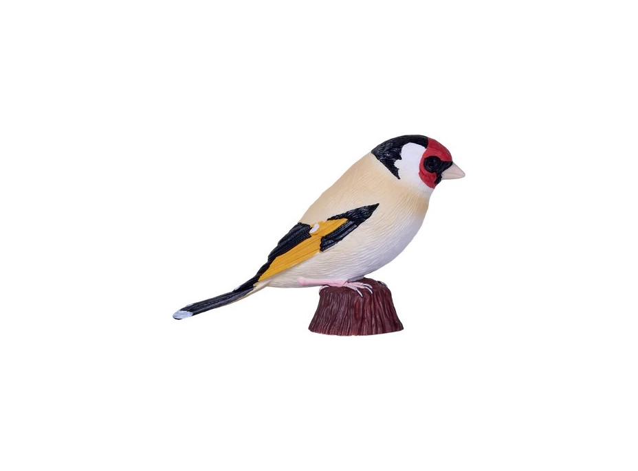 Mojo Stehlík obyčajný v krabičke