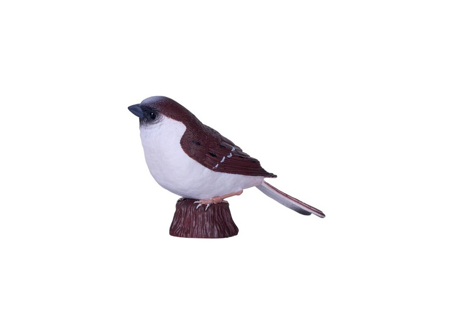 Mojo Vrabec domáci v krabičke