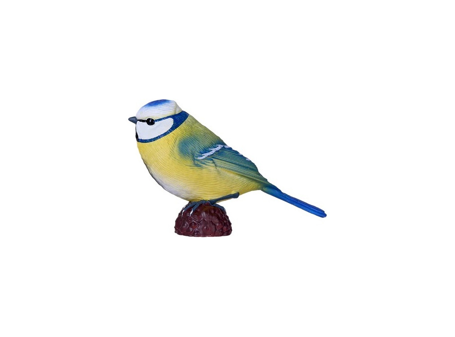 Mojo Sýkora modrinka v krabičke