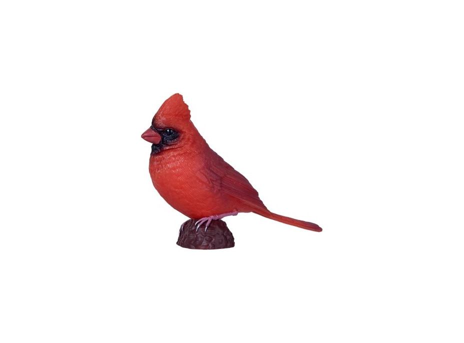 Mojo Kardinál červený v krabičke