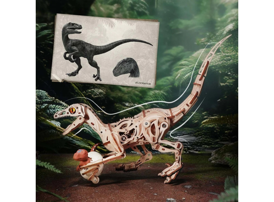 RoboTime 3D drevená mechanická skladačka Velociraptor
