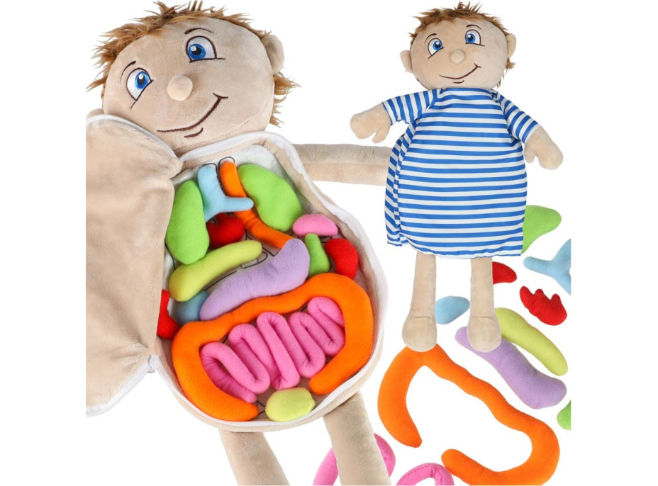 Bábika na učenie anatómie - chlapec