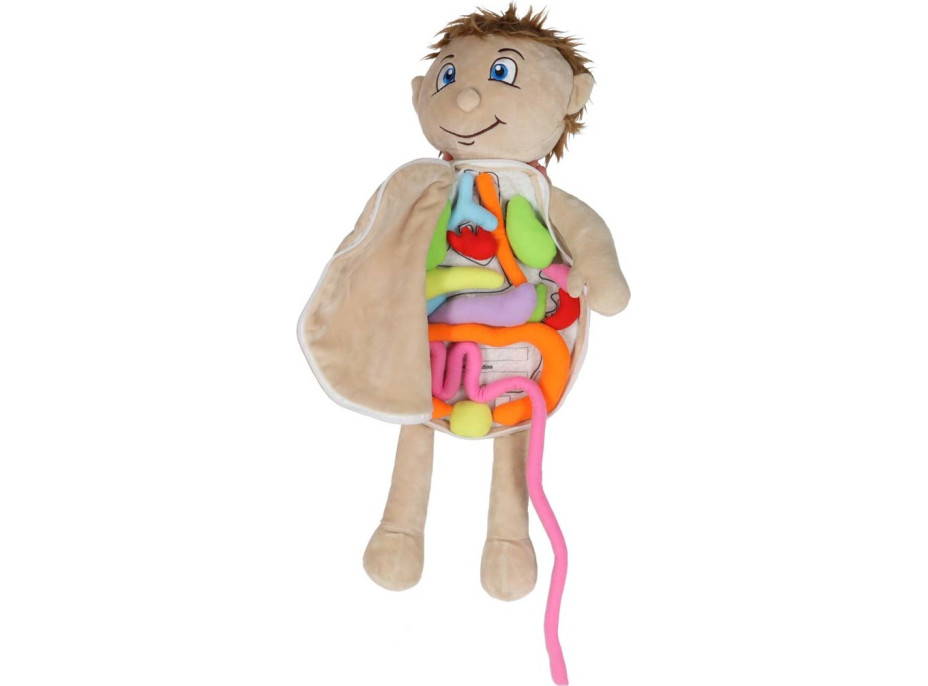 Bábika na učenie anatómie - chlapec