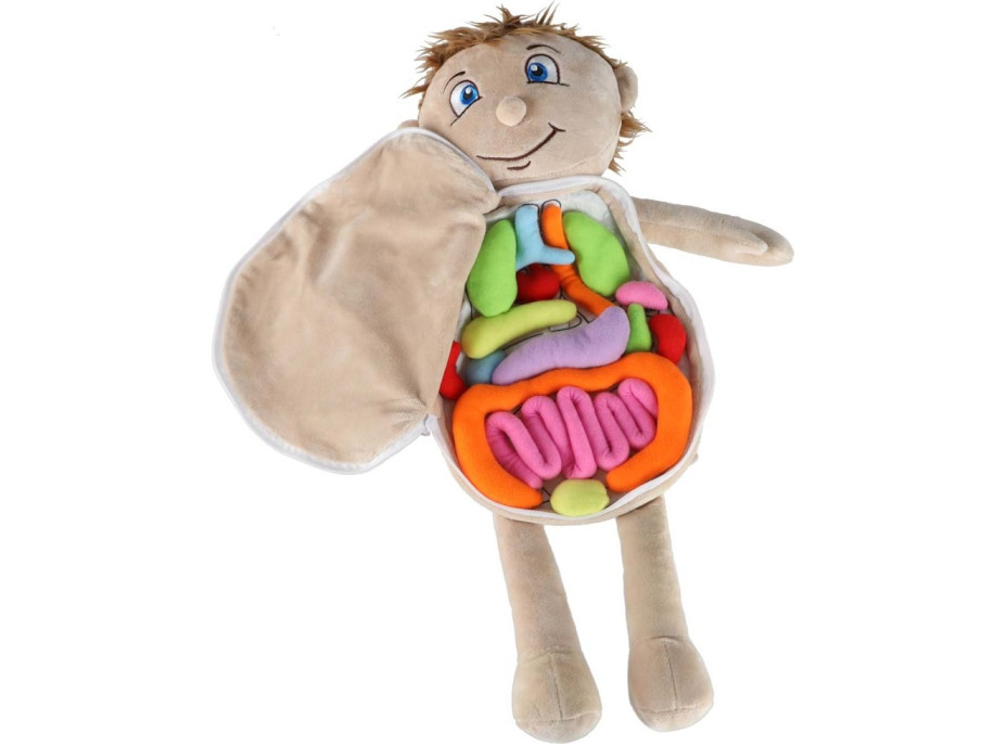 Bábika na učenie anatómie - chlapec