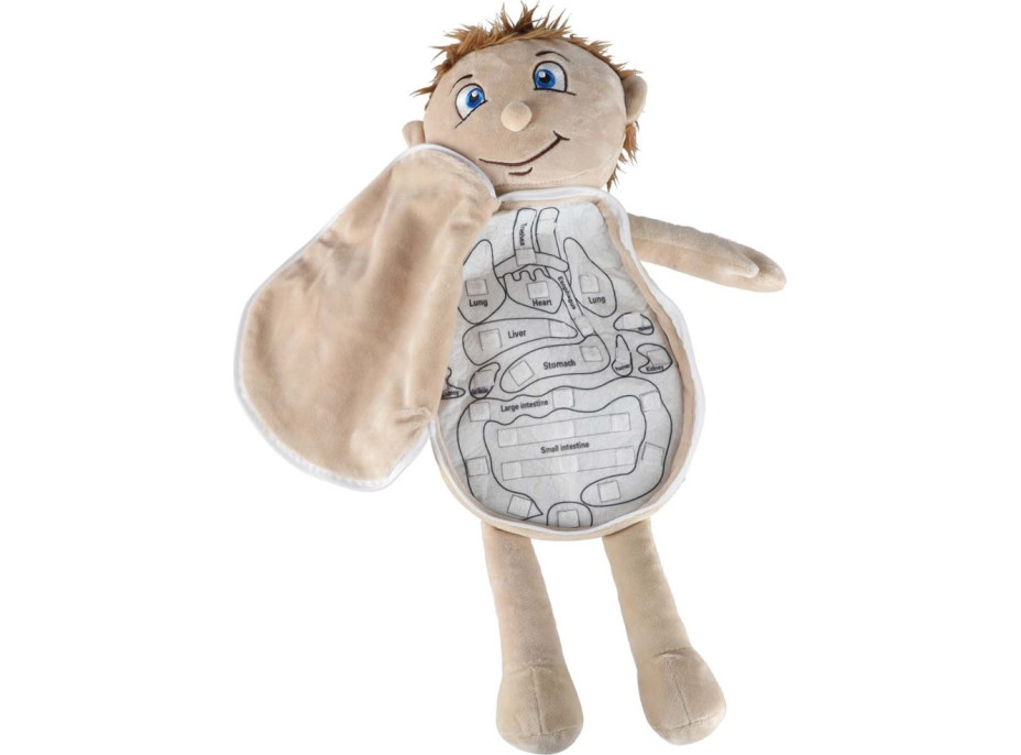 Bábika na učenie anatómie - chlapec