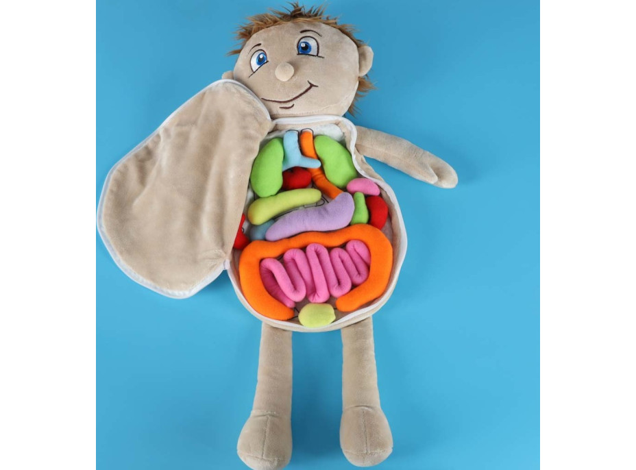 Bábika na učenie anatómie - chlapec