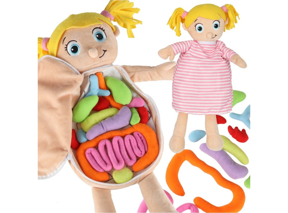 Bábika na učenie anatómie - dievča