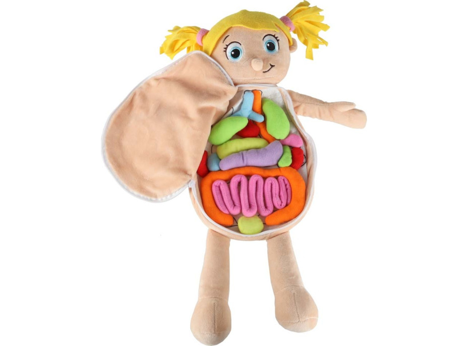 Bábika na učenie anatómie - dievča