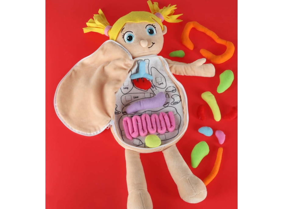 Bábika na učenie anatómie - dievča