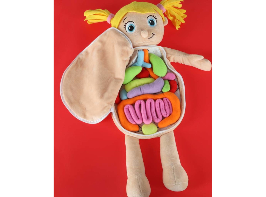 Bábika na učenie anatómie - dievča