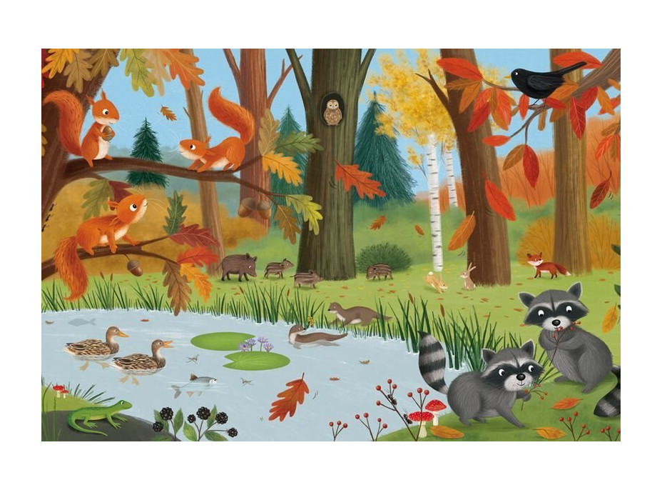 SCHMIDT Puzzle Lesné a lúčne zvieratá 3x24 dielikov