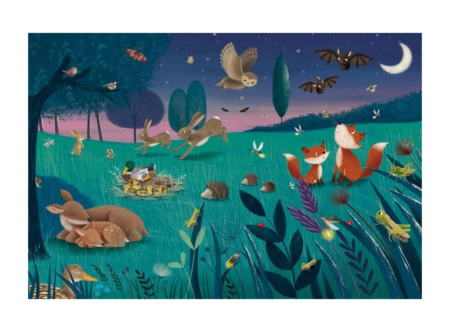 SCHMIDT Puzzle Lesné a lúčne zvieratá 3x24 dielikov