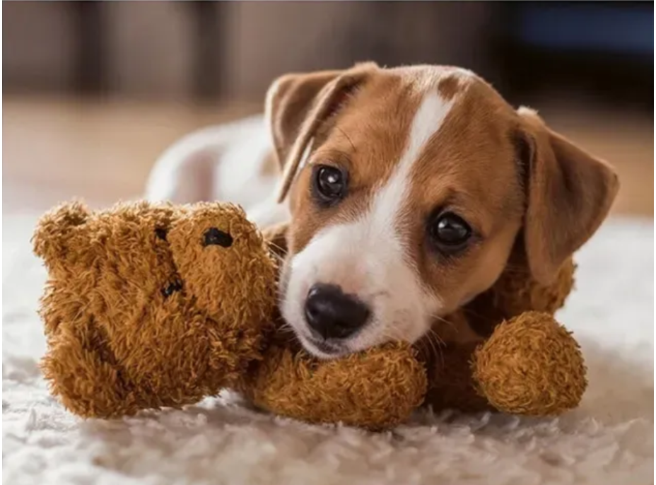 RAVENSBURGER Puzzle Hrejivé objatie 500 dielikov