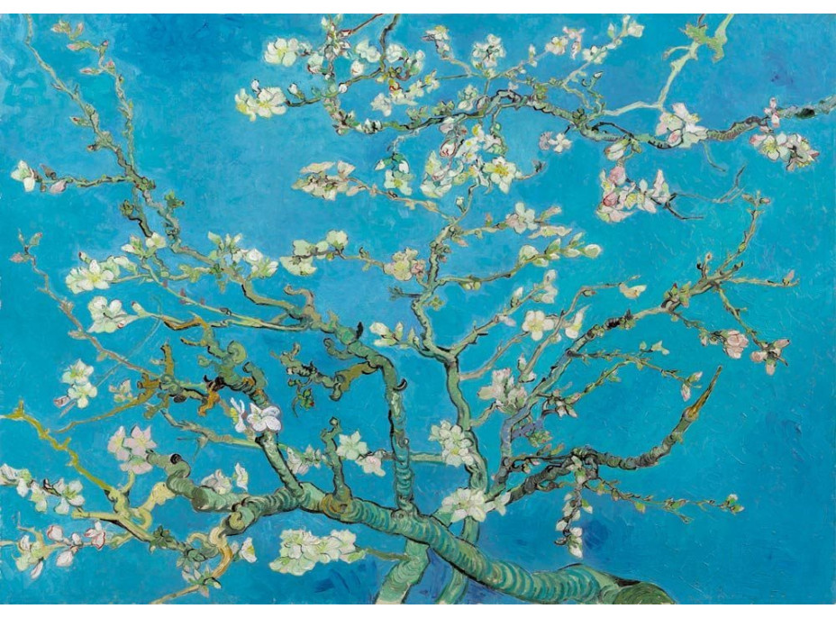 BLUEBIRD Puzzle Mandľový kvet 1000 dielikov