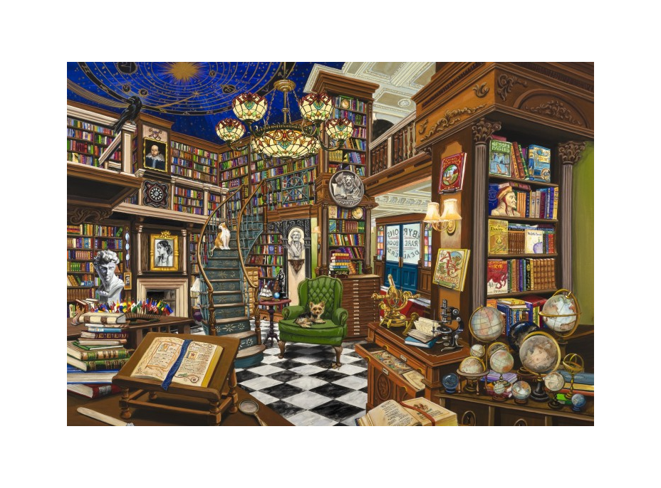 BLUEBIRD Puzzle Predajca vzácnych kníh 1000 dielikov