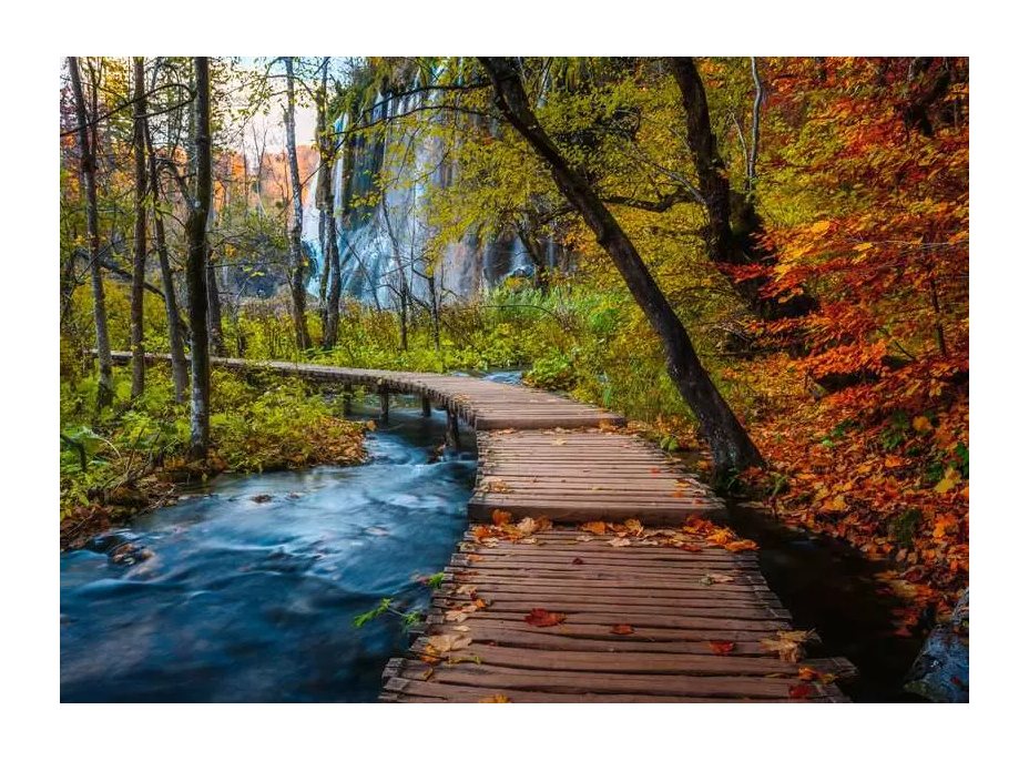 RAVENSBURGER Puzzle Tajomný les 1000 dielikov