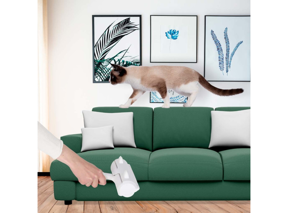 Kefa na čistenie srsti