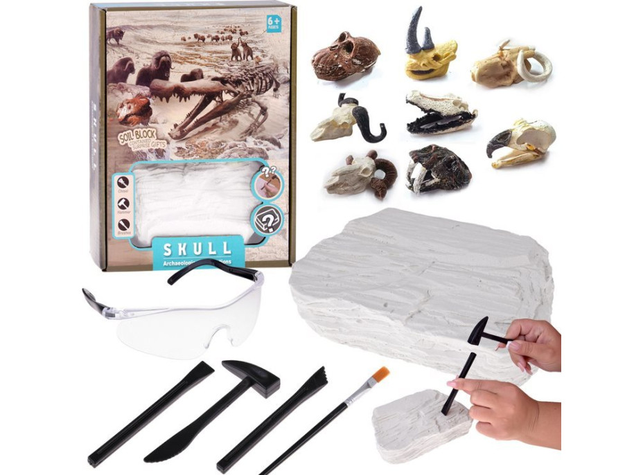 JOKOMISIADA Archeologická sada: Tajomná lebka