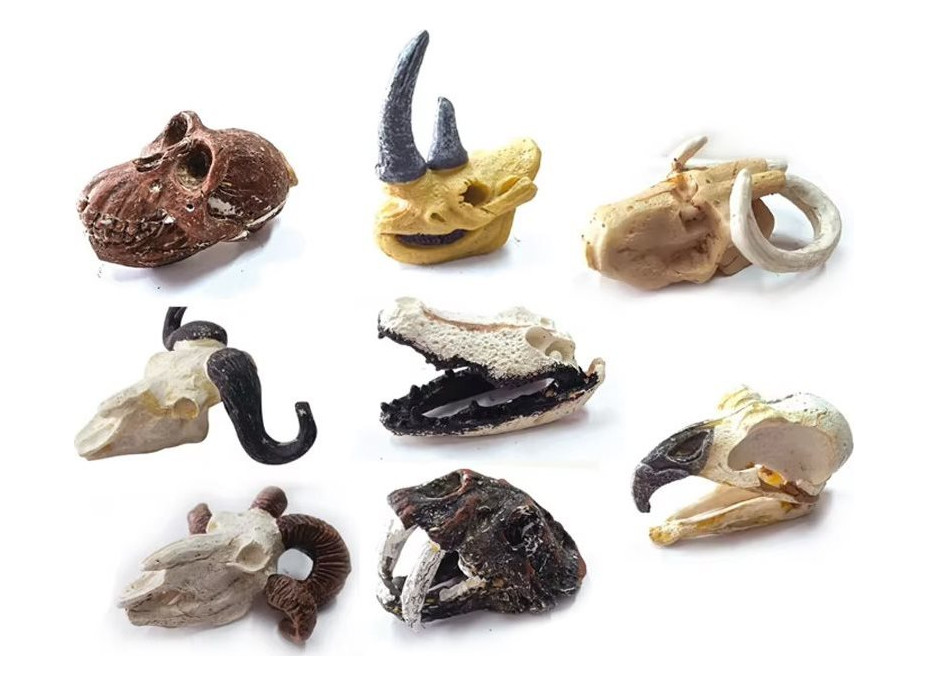 JOKOMISIADA Archeologická sada: Tajomná lebka