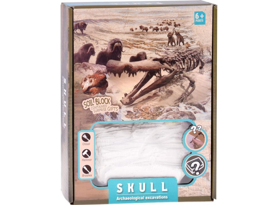 JOKOMISIADA Archeologická sada: Tajomná lebka