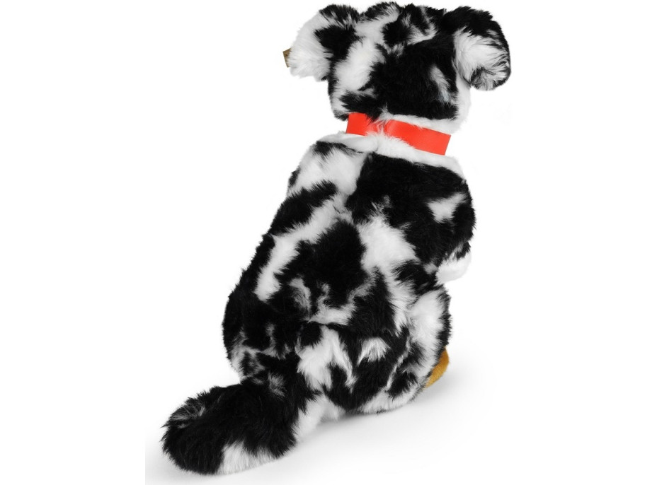 Rappa Plyšový pes austrálsky ovčiak 35 cm ECO-FRIENDLY