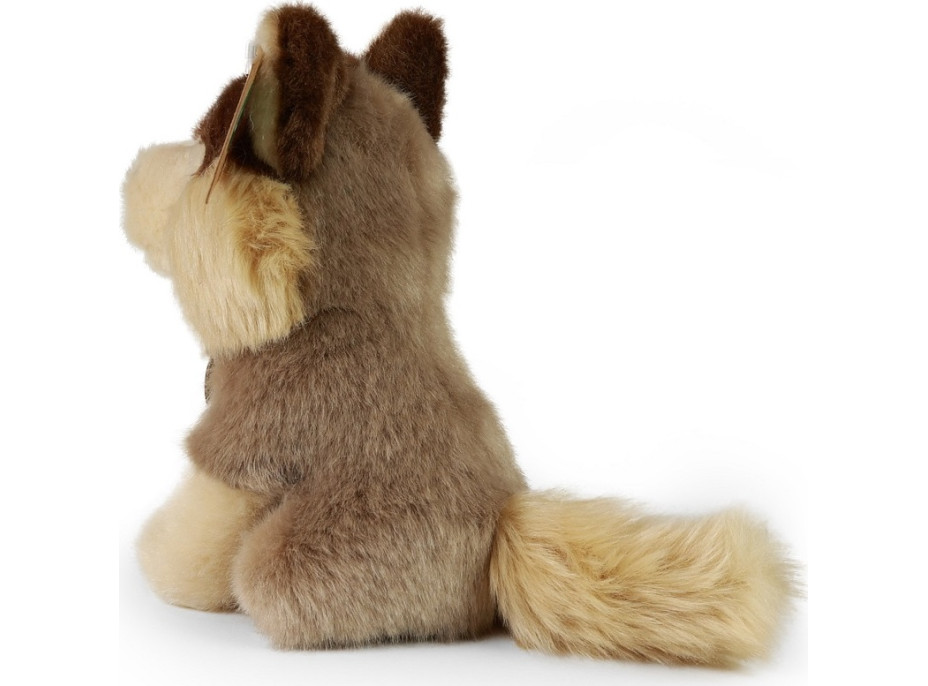 Rappa Plyšový vlk sediaci 16 cm ECO-FRIENDLY