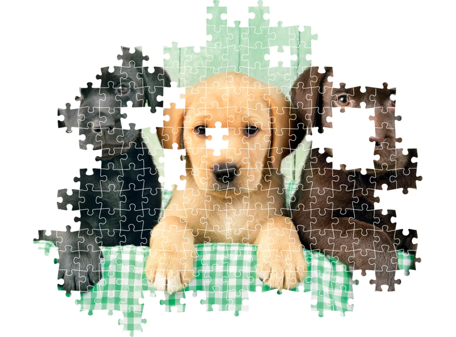 CLEMENTONI Puzzle Tri labradori 1000 dielikov