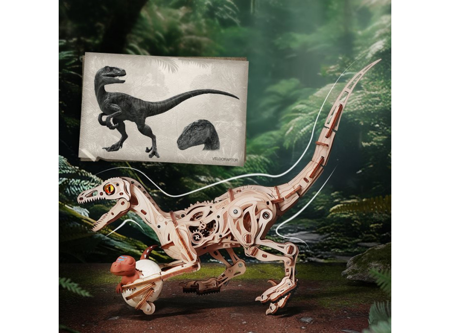 ROBOTIME Roker 3D drevené puzzle Velociraptor 191 dielikov