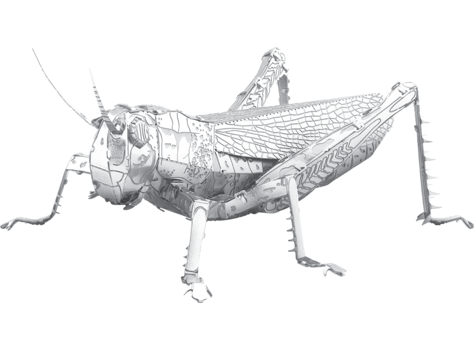 METAL EARTH 3D puzzle Lúčny koník