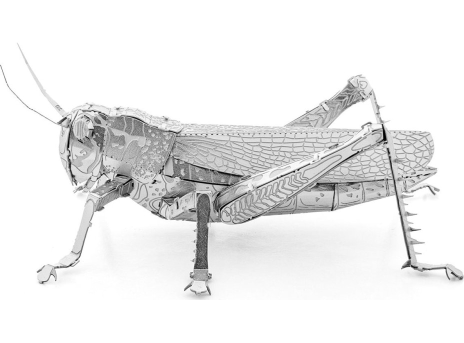 METAL EARTH 3D puzzle Lúčny koník