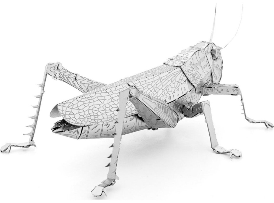 METAL EARTH 3D puzzle Lúčny koník