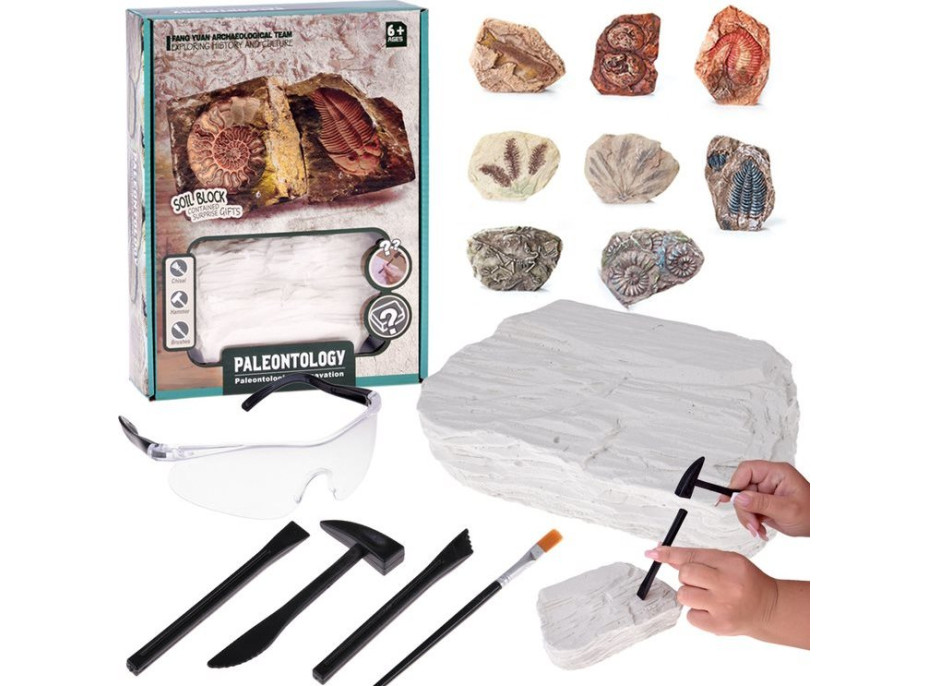 JOKOMISIADA Archeologická sada: Tajomná fosília