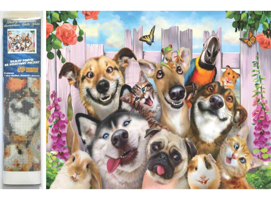 NORIMPEX Diamantové maľovanie Bláznivá selfie 30x40 cm