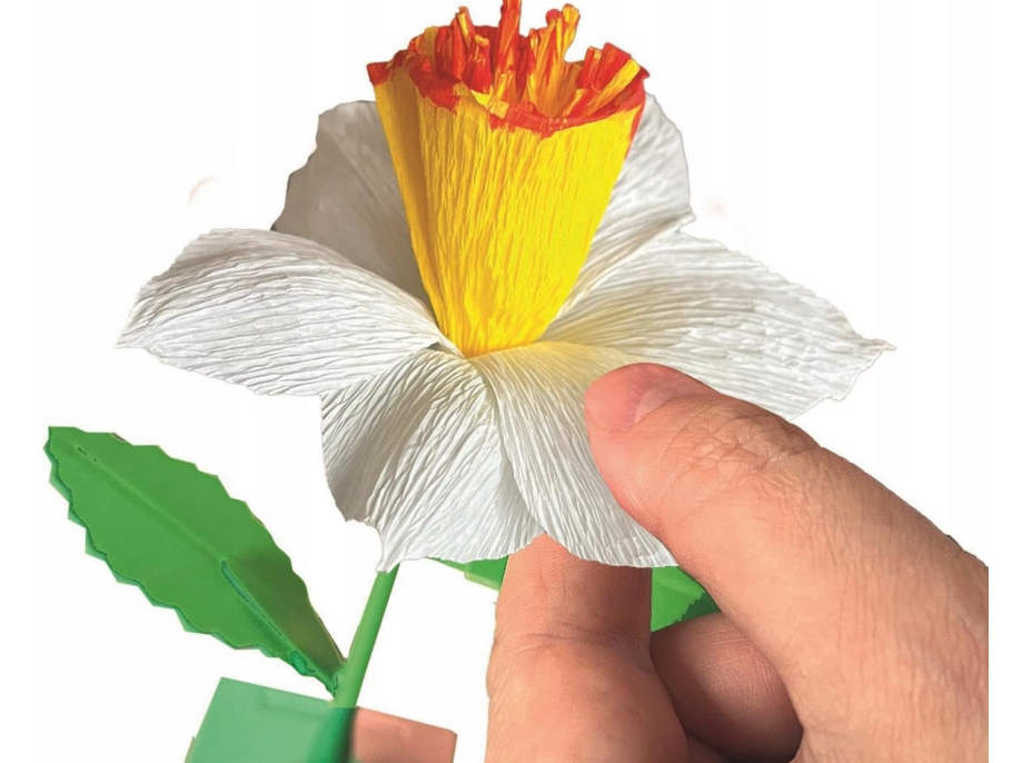 CLEMENTONI IDEA Kvetinová továreň: Narcis