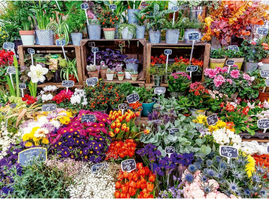 RAVENSBURGER Puzzle Francúzske trhovisko 500 dielikov