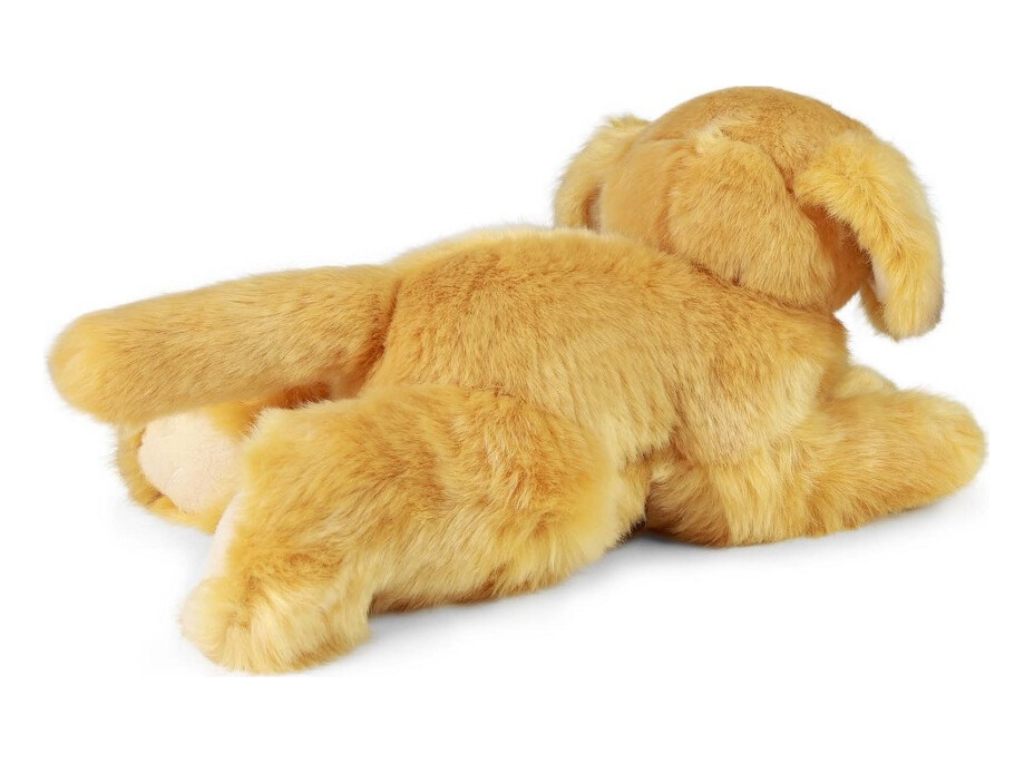 Rappa Plyšový pes retriever 30 cm ECO-FRIENDLY