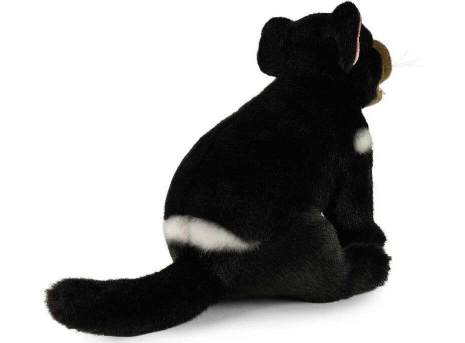 Rappa Plyšový tasmánsky čert 25 cm ECO-FRIENDLY