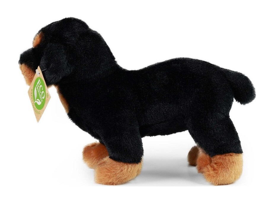 Rappa Plyšový pes rotvajler 18 cm ECO-FRIENDLY