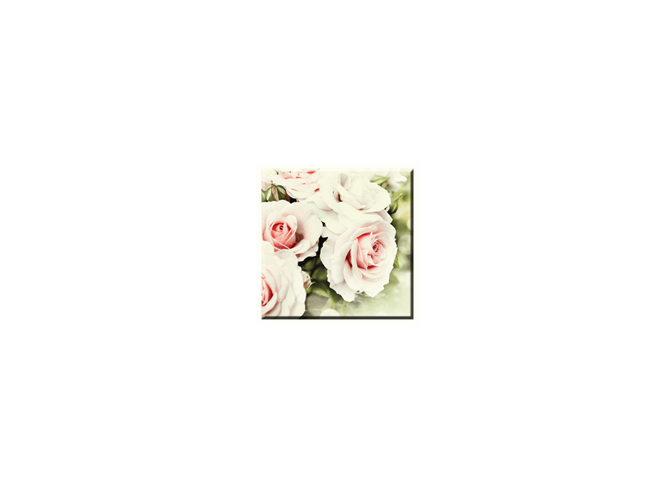 Obraz na plátne 30x30cm WHITE FLOWER - vzor 37