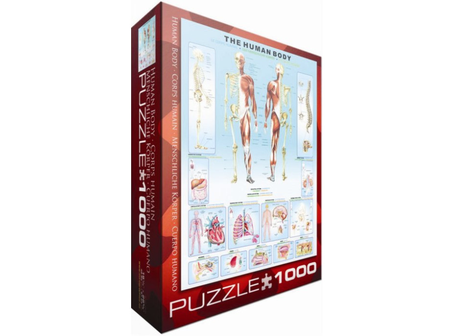 Puzzle Ľudské telo - 1000 dielikov