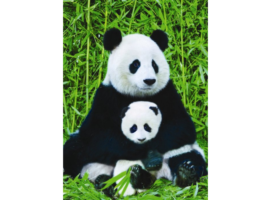 Puzzle Panda a mláďa - 1000 dielikov