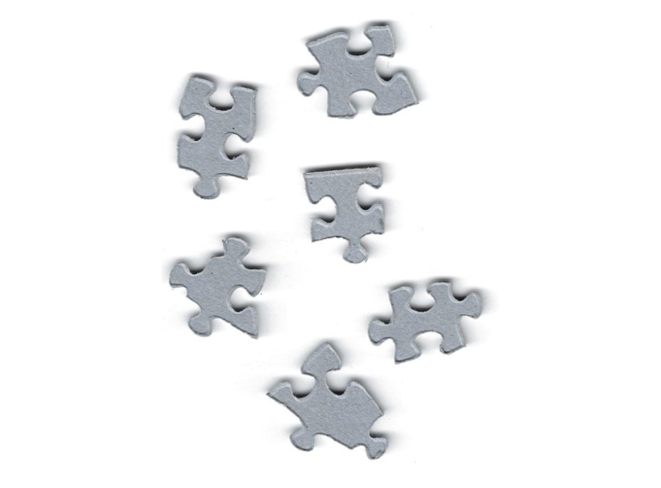 Puzzle Štedrý večer v Paríži - 1000 dielikov