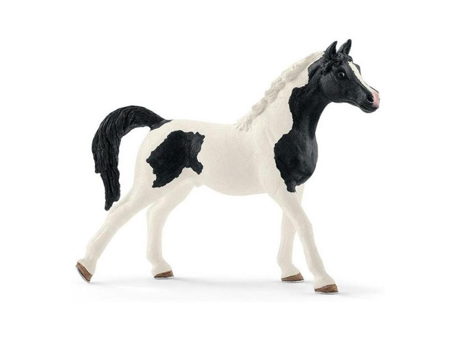 SCHLEICH 13840 Kůň Pinto Arab - hřebec