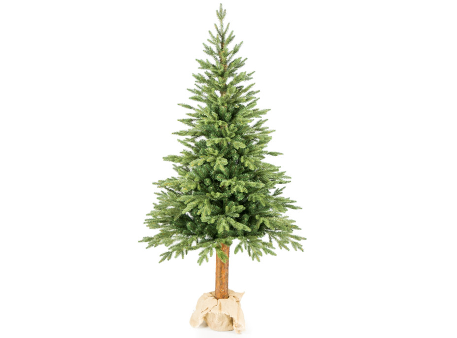 Vánoční stromek - diamantová borovice [CLONE] [CLONE] [CLONE] [CLONE] [CLONE] [CLONE] [CLONE] [CLONE]