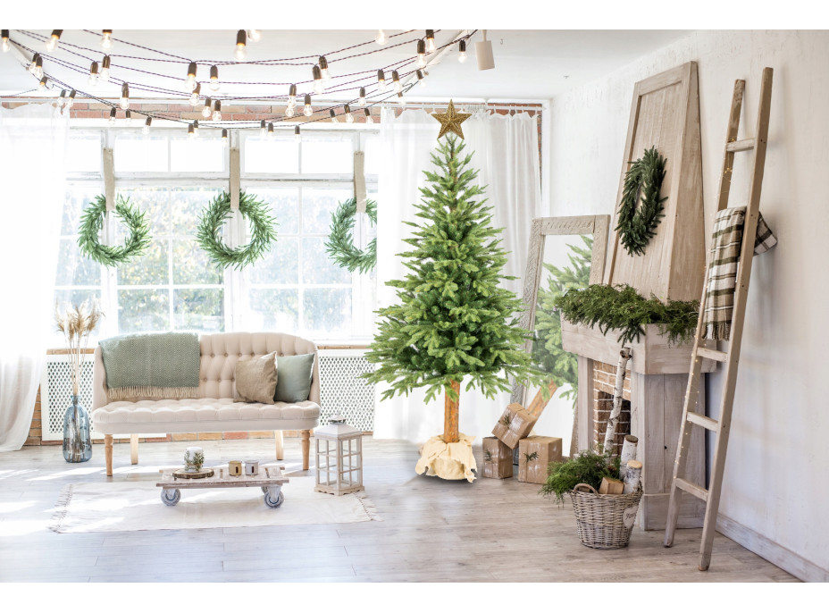 Vánoční stromek - diamantová borovice [CLONE] [CLONE] [CLONE] [CLONE] [CLONE] [CLONE] [CLONE] [CLONE]