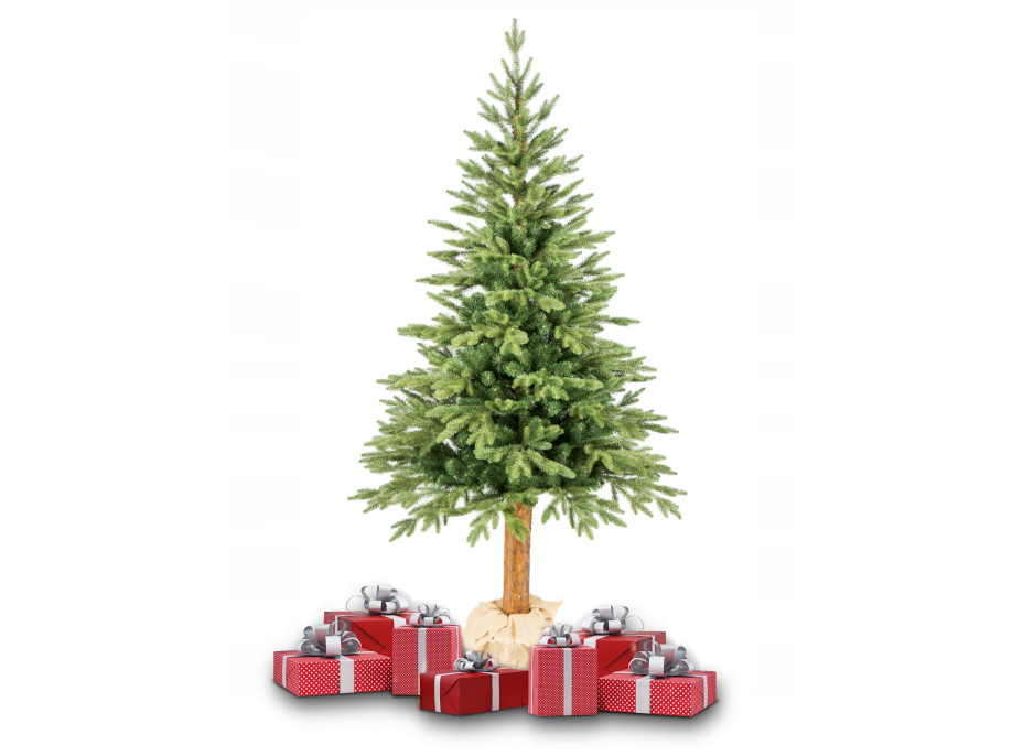 Vánoční stromek - diamantová borovice [CLONE] [CLONE] [CLONE] [CLONE] [CLONE] [CLONE] [CLONE] [CLONE]